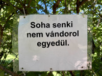 Kép szöveg